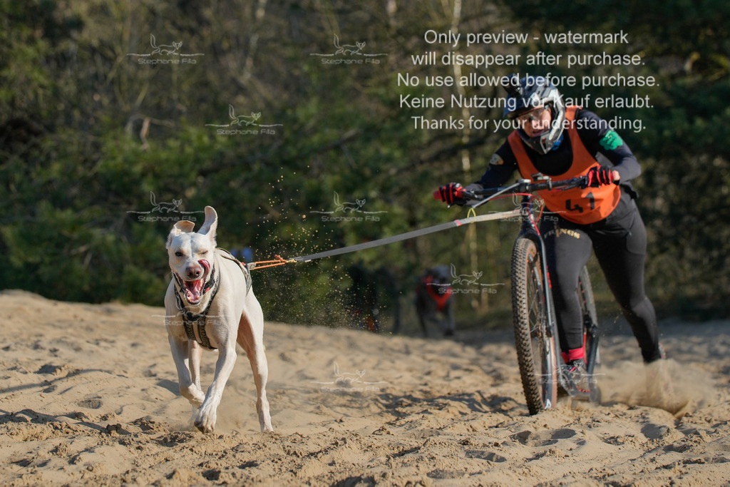 So_Scooter-269 | stephaniefillaphotographie - Realisiert mit Pictrs.com