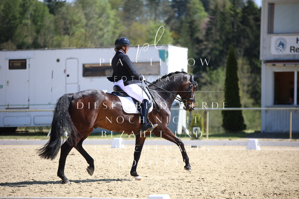 IMGT7510 | pl-fotografie