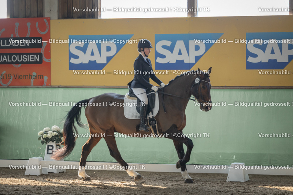 _D5A8372 | Emotionale Pferde- & People-Fotografie rund um Heidelberg, Leimen & Umgebung. Natürliche Fotos von Pferd, Mensch & Familie. Jetzt Termin sichern!