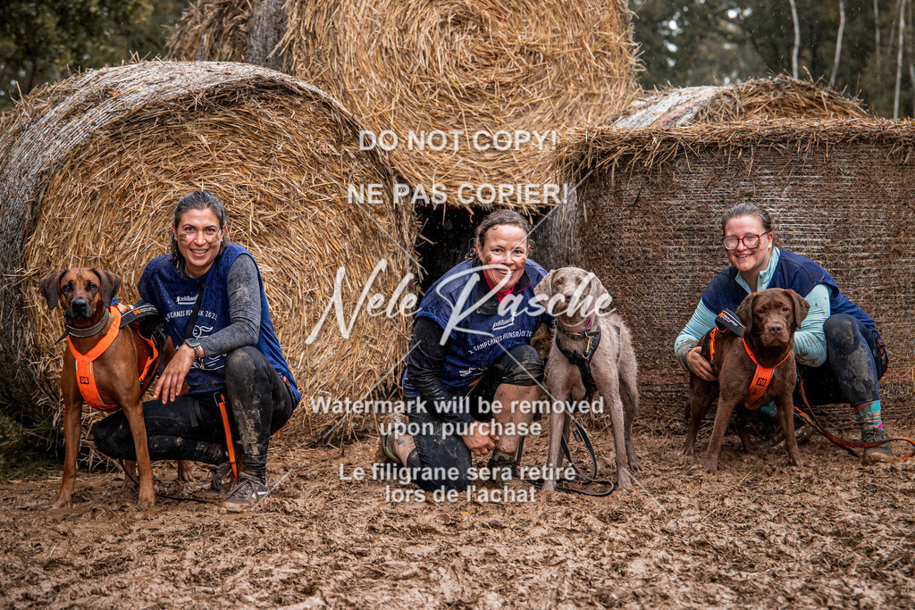 nelerasche_Hunsrück_So09-11_148 | nelerasche