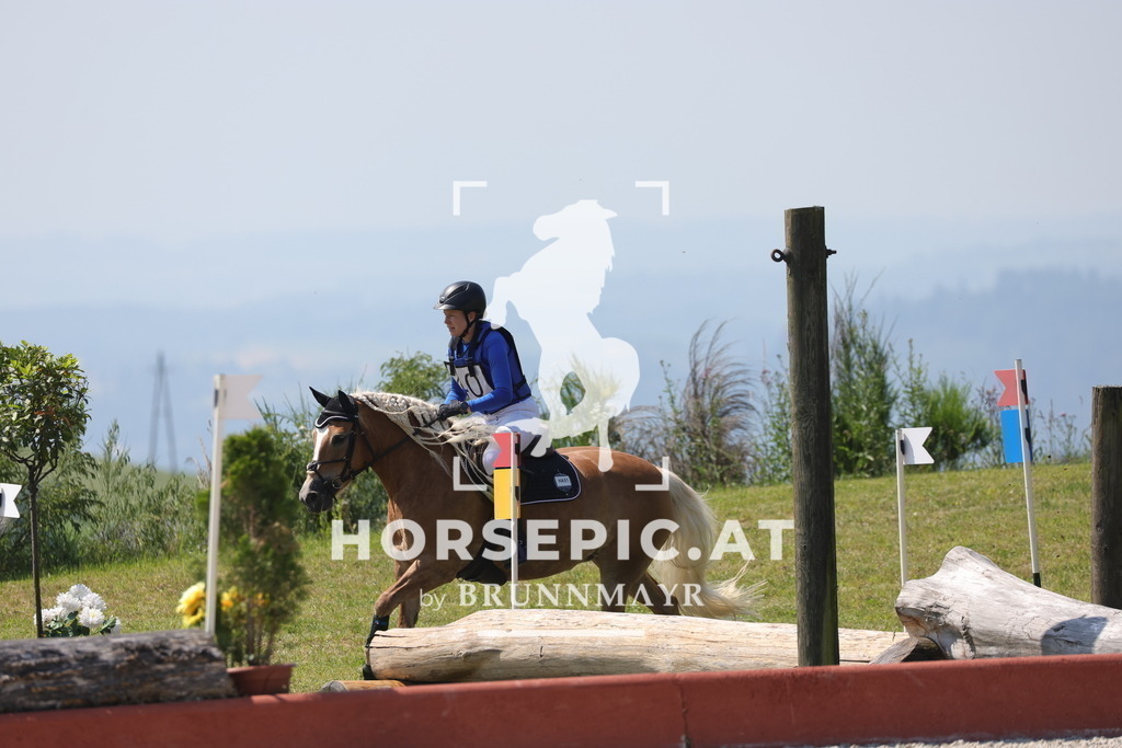 0P6A7956 | Willkommen bei Brunnmayr - Design & Fotografie – Ihrem Spezialisten für Reitturniere und Pferdeveranstaltungen in Oberösterreich, Salzburg und Bayern! Seit über 17 Jahren sind wir leidenschaftlich dabei.