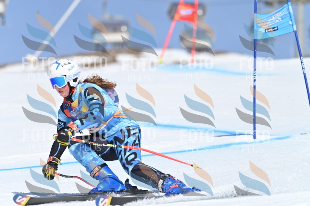 BGV_9590 | holidayphoto