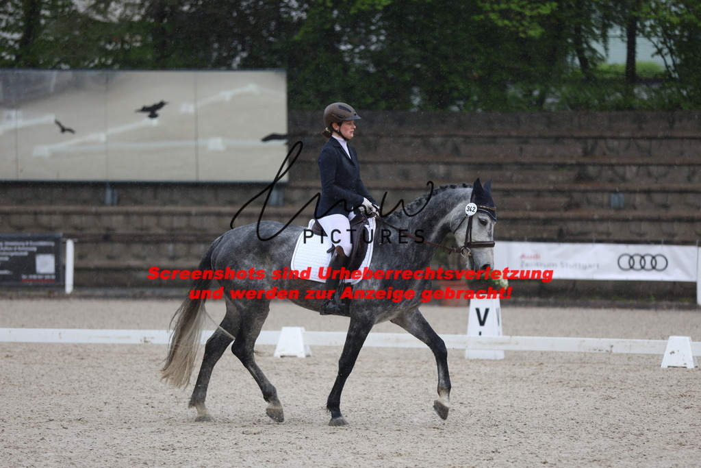 A40A7648 | lmwpictures - Realisiert mit Pictrs.com