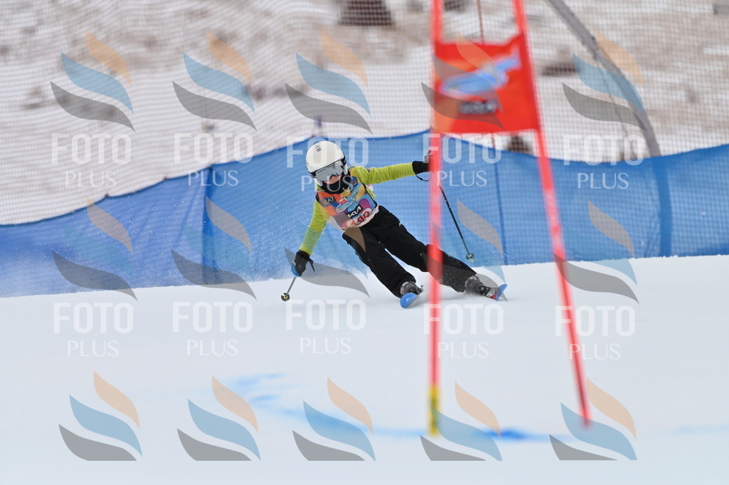 BGV_1804 | holidayphoto