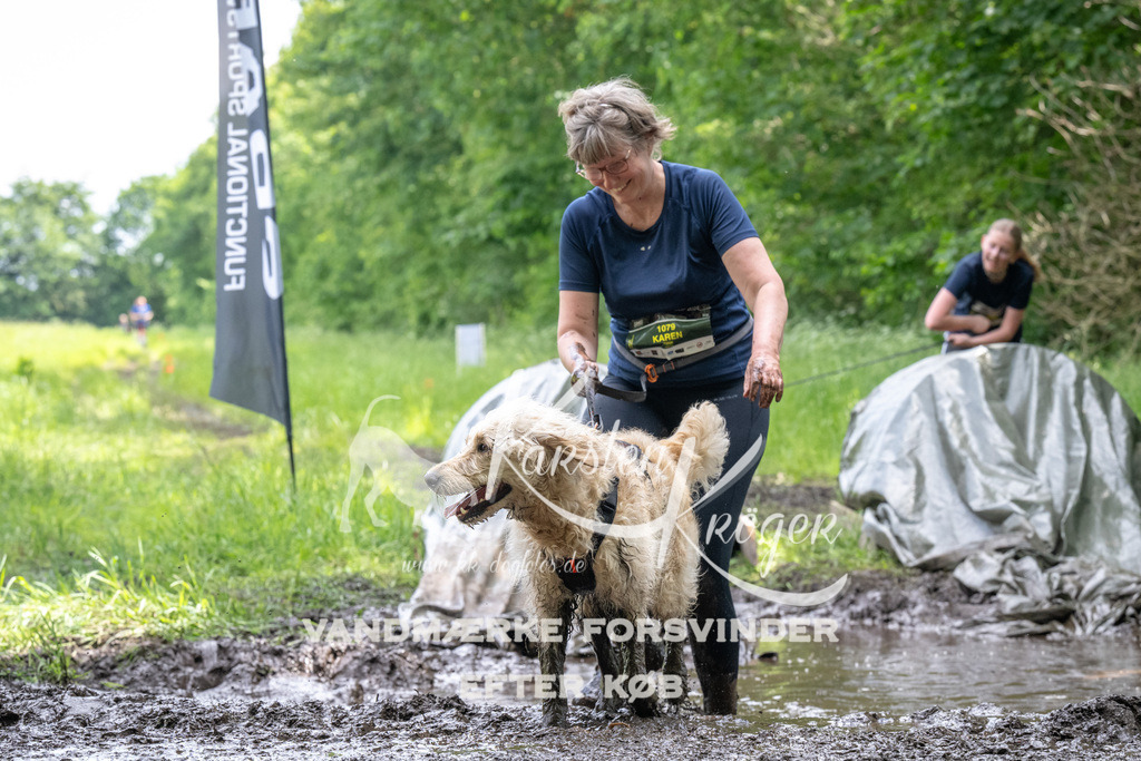 1250_ZZ93842 | kk-dogfotos