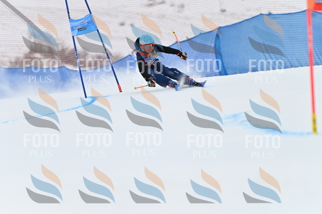 BGV_9942 | holidayphoto