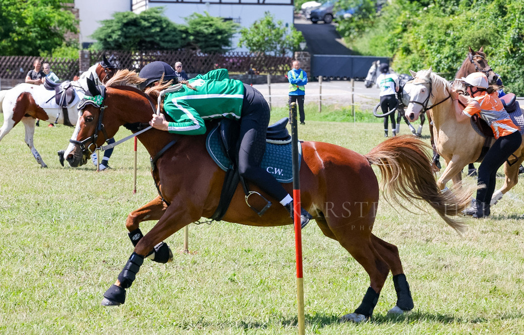 IMG_1635 | Reitsport Reiten