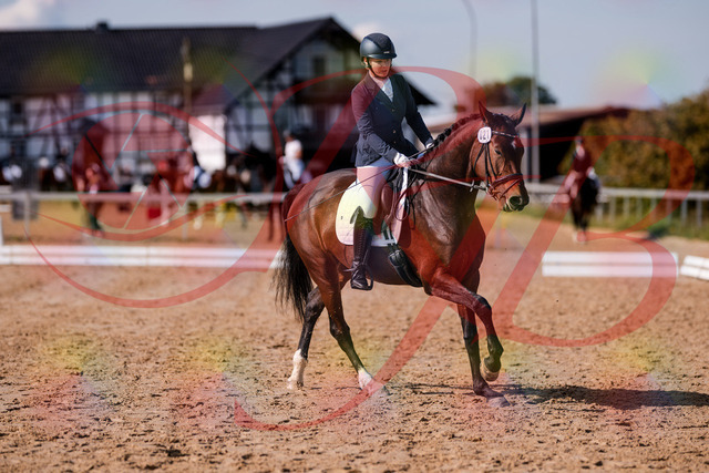 2026_10_03_Siefer-Hof_125752_Z81_46956836 | Professionelle Reitsport-, Turnier- und Eventfotografie von Robert Broda. Galerien mit ausgewählten und bearbeiteten Bildern direkt online ansehen und bestellen.