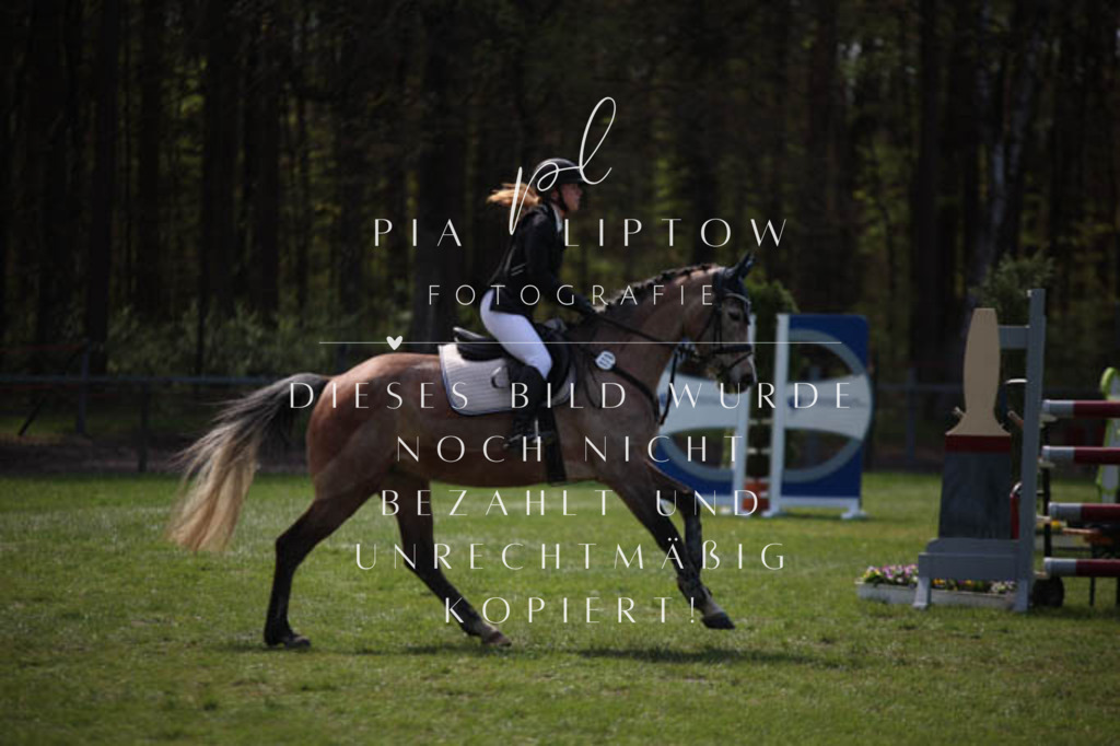 IMGT5363 | pl-fotografie