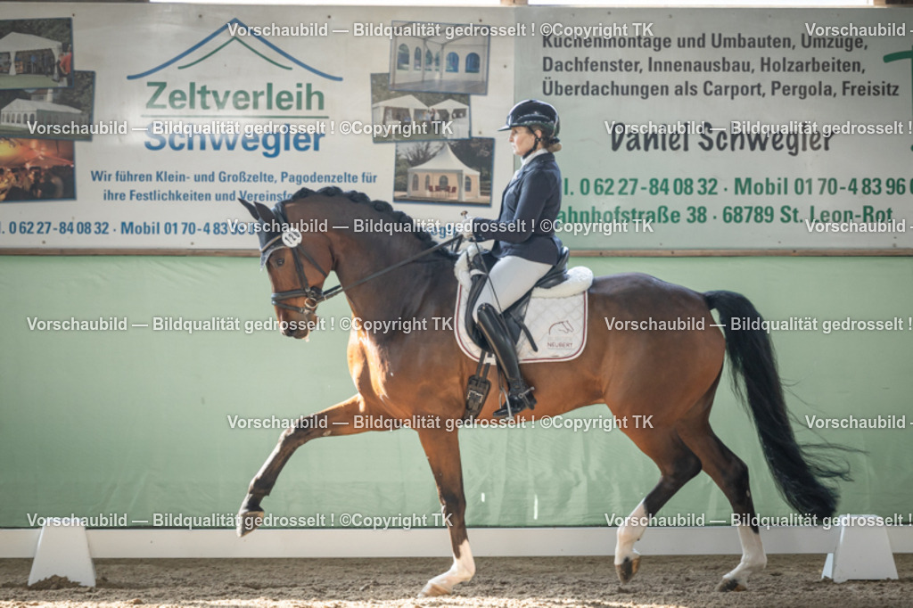 _D5A0758 | Emotionale Pferde- & People-Fotografie rund um Heidelberg, Leimen & Umgebung. Natürliche Fotos von Pferd, Mensch & Familie. Jetzt Termin sichern!