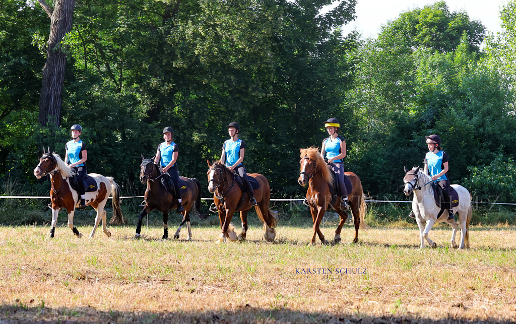 1B3A8380 | Reitsport Reiten