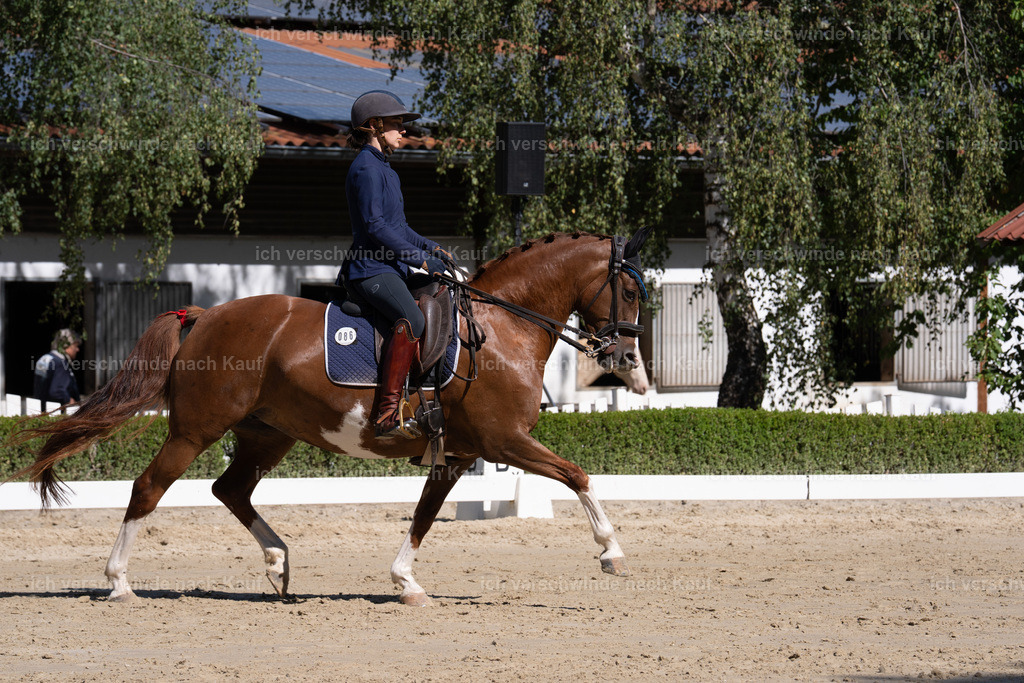 WL_DR_86_sinafilmart_IN07005 | working equitationturnier fotograf videograf stoibphotography marixx film working equitation deutschland reitsport turnierfotografie eventfotografie equestrian events