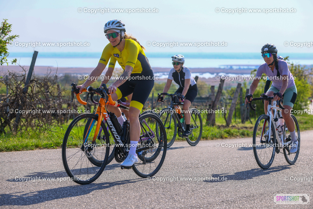 TRA_0352 | Neusiedlersee Radmarathon 2026@sportshot_your_pictrs #yourpictures#roadtowm2029 #nrm #neusiedlerseeradmarathon #neusiedlersee #neusiedlerseetourismus #burgenland #mörbisch #nrm26 #burgenlandtourismus #voglundco #poweredbyburgenlandtourismus #radsport #rad #marathon #ucigranfondo #visitburgenland #ucigranfondoworldseries