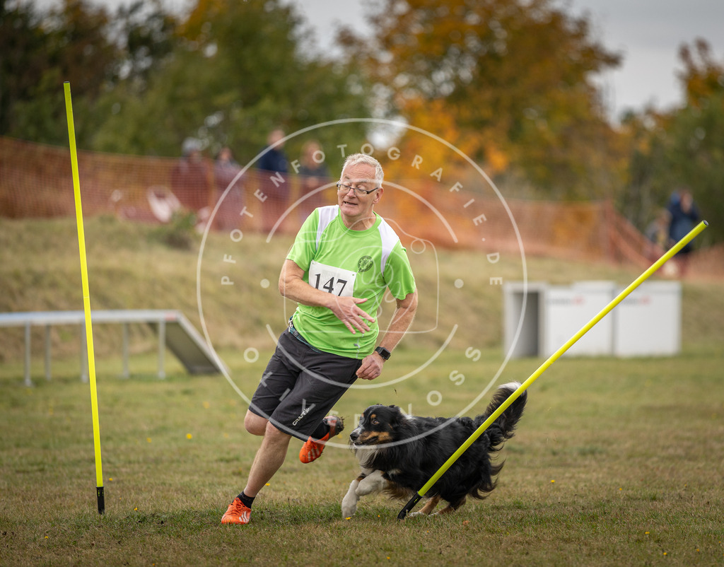 Pfotenfotografie_DV3A6508 | Hundefotografie, Tierfotograf, Pfotenfotografie, Fotoshooting Hund, Hunde Portrait, Hundesport, Hundeportraits, Heideshooting, Hunde, Sportfotograf, Hundefotograf, Turnierhundsport, THS,  - Realisiert mit Pictrs.com