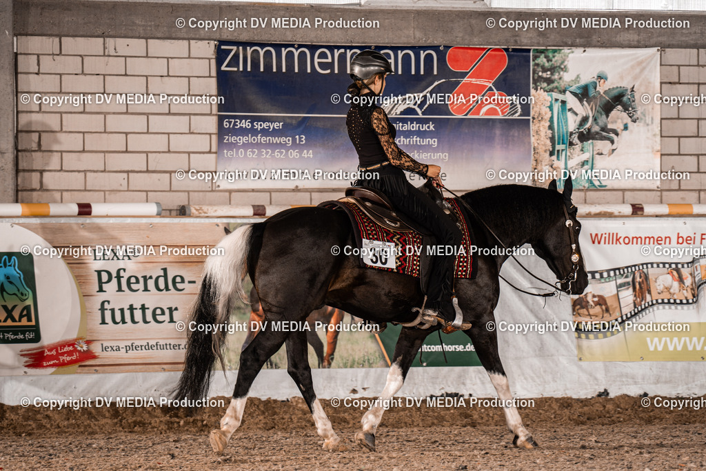 ZH300017 | dv-media-shop - Realisiert mit Pictrs.com