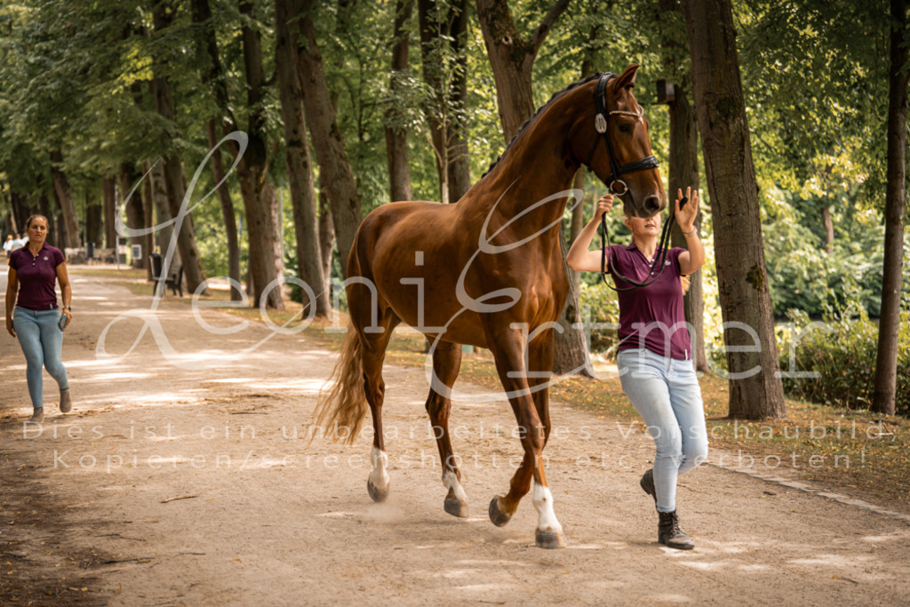 FrPfM00276 | Leoni Ertmer Photography - Realisiert mit Pictrs.com