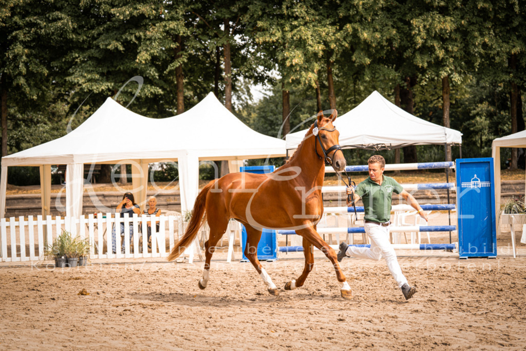 7.Fr00039 | Leoni Ertmer Photography - Realisiert mit Pictrs.com