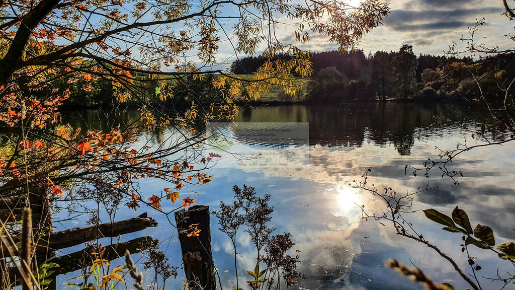 Pfaffenteiche Sonnenuntergang Herbst | Impressionen rund um Hochfranken - Frankenwald - Fichtelgebirge - Realisiert mit Pictrs.com