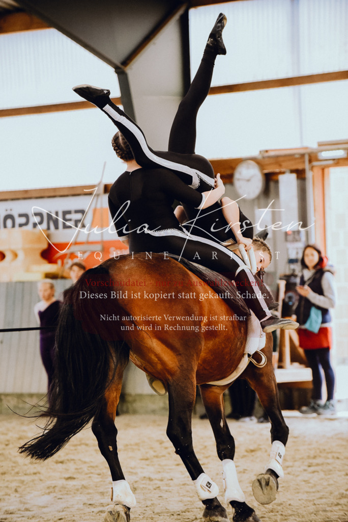 DSC_6910 | Pferde- und Turnierfotografie in Westsachsen. Pferdeportraits, Auftragszeichnungen und intuitive Kunst.