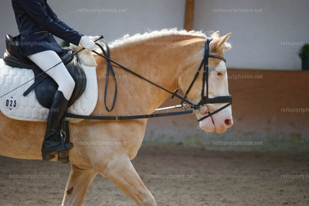 JHE_5258 | JoYa Fotografie - Realisiert mit Pictrs.com