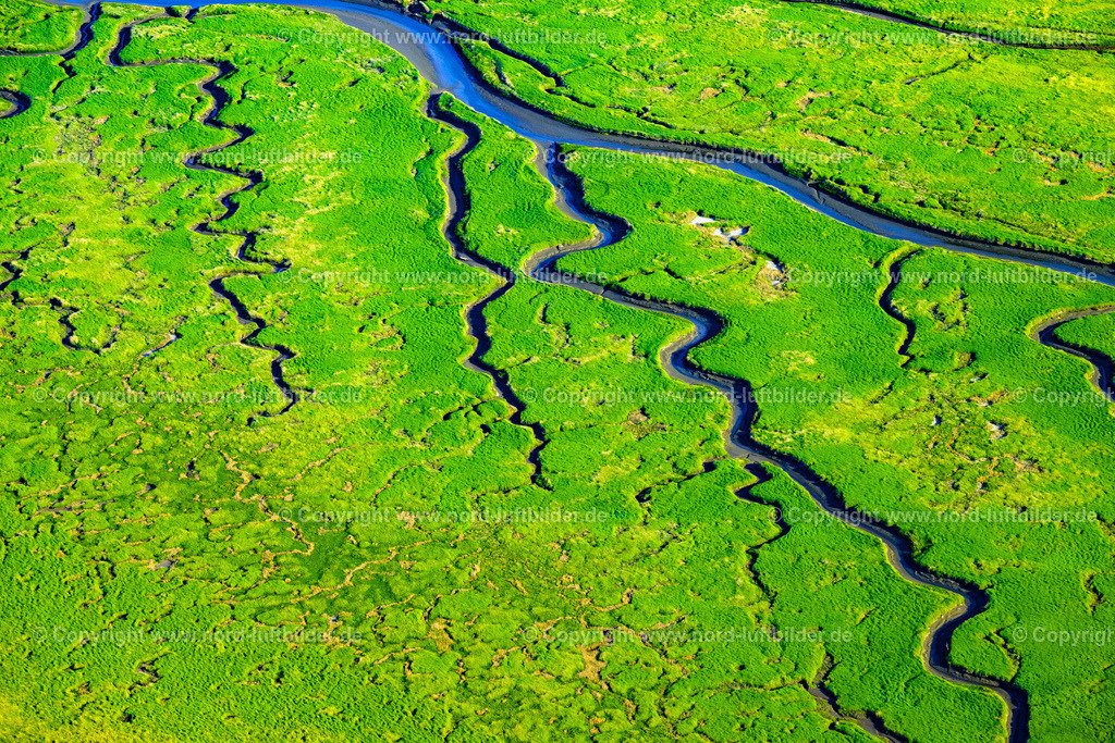 St.Peter-Ording_Salzwiesen_ELS_8772300523 | SANKT PETER-ORDING 30.05.2023 Salzwiesen Landschaft an der Nordsee - Küste im Ortsteil Sankt Peter-Ording Pfahlbauten in Sankt Peter-Ording im Bundesland Schleswig-Holstein. // Salt marsh landscape on the North Sea - coast in the district Sankt Peter-Ording Pfahlbauten in Sankt Peter-Ording in the state Schleswig-Holstein. Foto: Martin Elsen