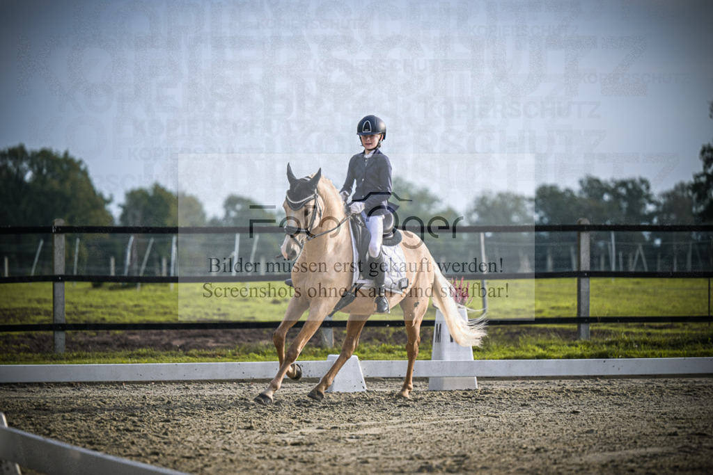 DOS_4889 | Entdecke hochwertige Reitturnierfotos von Foto Oger. Professionell, emotional und authentisch – jetzt Lieblingsmomente im Shop bestellen. - Realisiert mit Pictrs.com