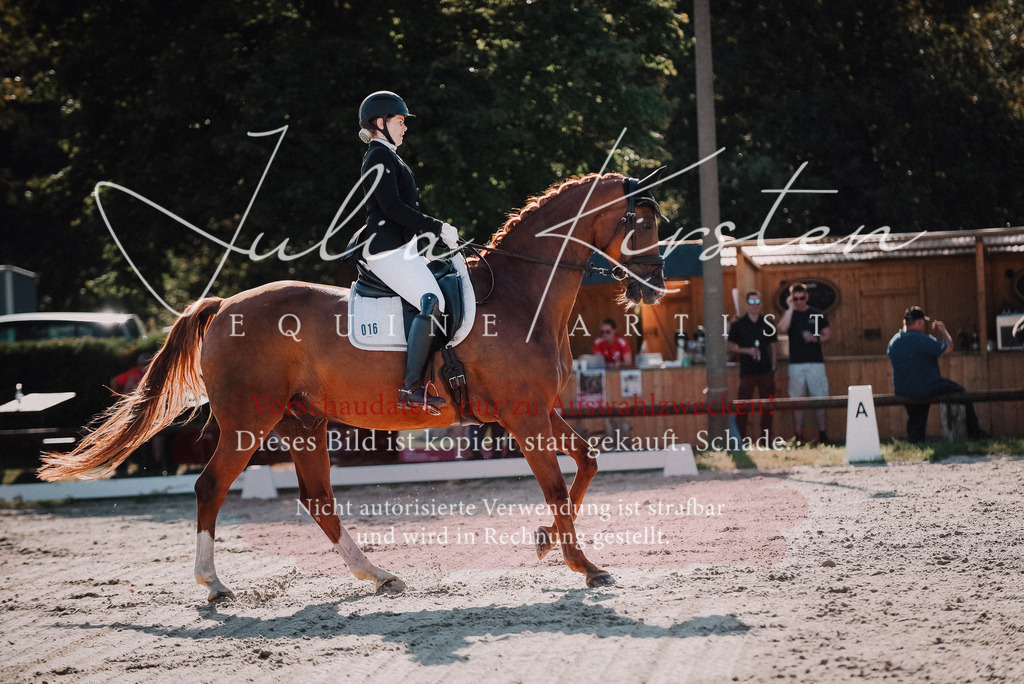 DSC_0456 | Pferde- und Turnierfotografie in Westsachsen. Pferdeportraits, Auftragszeichnungen und intuitive Kunst.