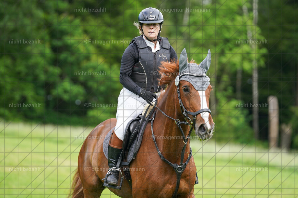 20240518-FAH03912 | Turnierbilder von Niederseon, Turnierfotografen Bayern, Fotoagentur Herrmann, Geländebilder, Reitsportfotografie