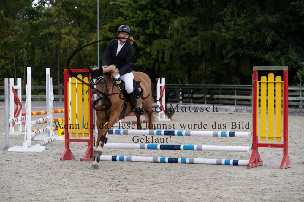 A7V07253 | Pferdefotograf