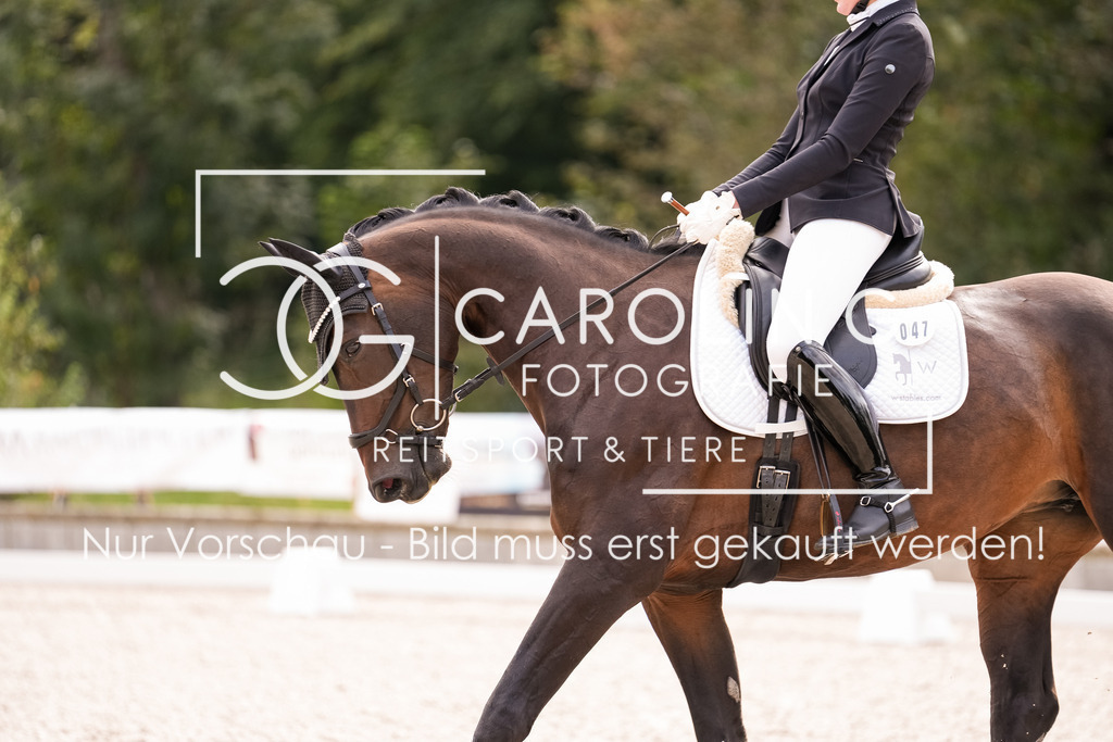 DSC01137 | Turnierfotografin Carolin Gieschke, Turnierfotografie Carolin G Fotografie, Turnierfotos Kirchheim/Teck, Esslingen, Stuttgart, Bodenseekreis