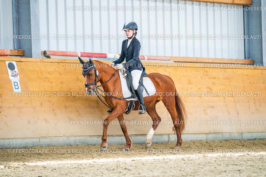 DSC03612 | Pferdegrafie