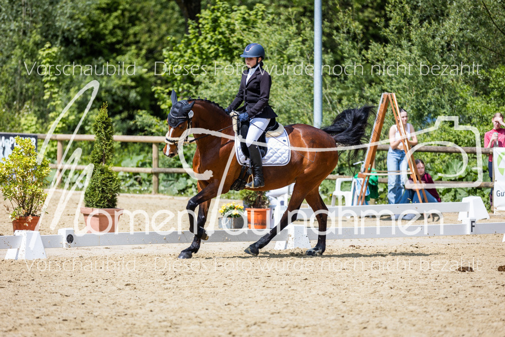 Donop24-EDre-048 | MomenTaufnahmen Pferdesportfotos