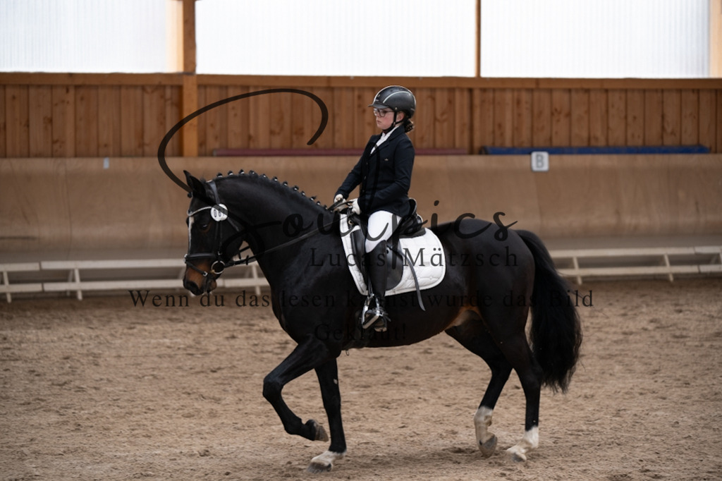 A7V09431 | Pferdefotograf