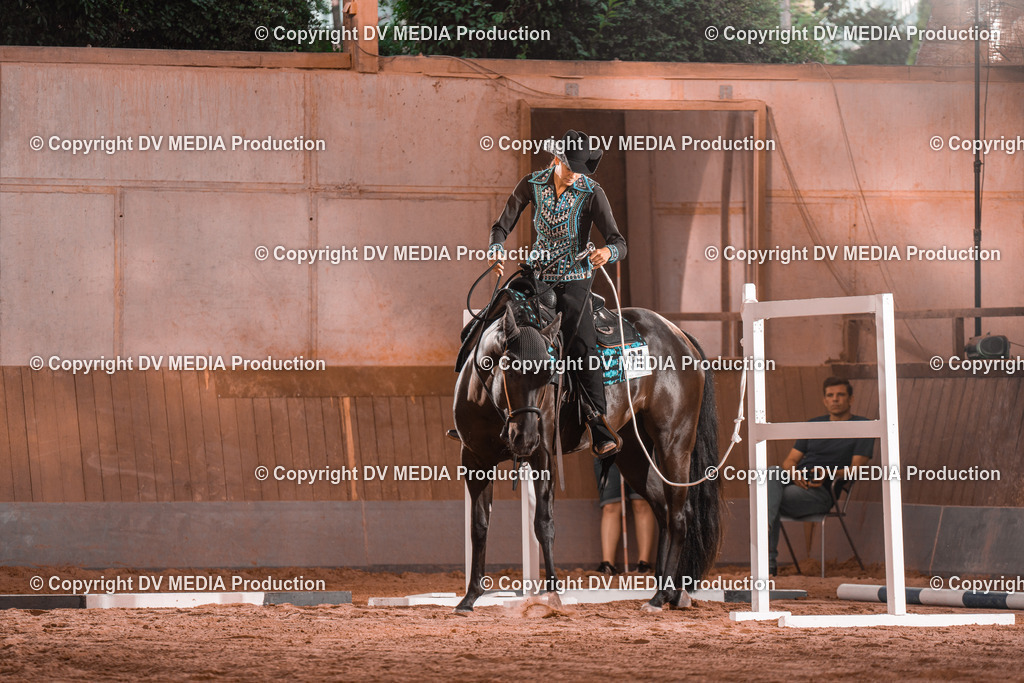 NE300029 | dv-media-shop - Realisiert mit Pictrs.com