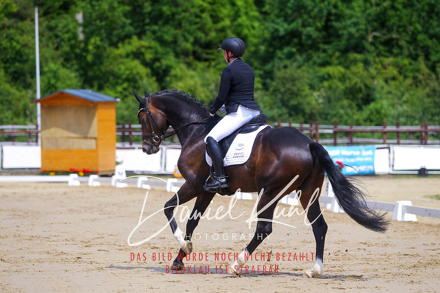 DKP45957 | Turniersportfotografie; Pferdefotografie; Dressurfotografie