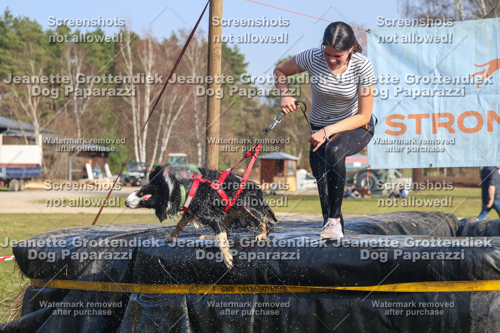 Dog Paparazzi - Strongdog North Mrz26-2768 | Dog Paparazzi Jeanette Grottendiek Fotografie & Videografie - Realisiert mit Pictrs.com