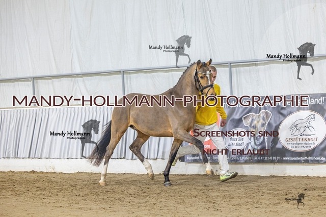 53 (18) | mandyhollmannphotographie