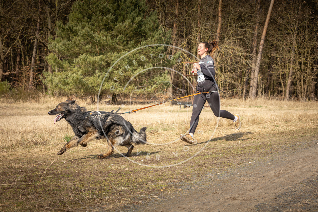 DV3A5760 | Hundefotografie, Tierfotograf, Pfotenfotografie, Fotoshooting Hund, Hunde Portrait, Hundesport, Hundeportraits, Heideshooting, Hunde, Sportfotograf, Hundefotograf, Turnierhundsport, THS,  - Realisiert mit Pictrs.com