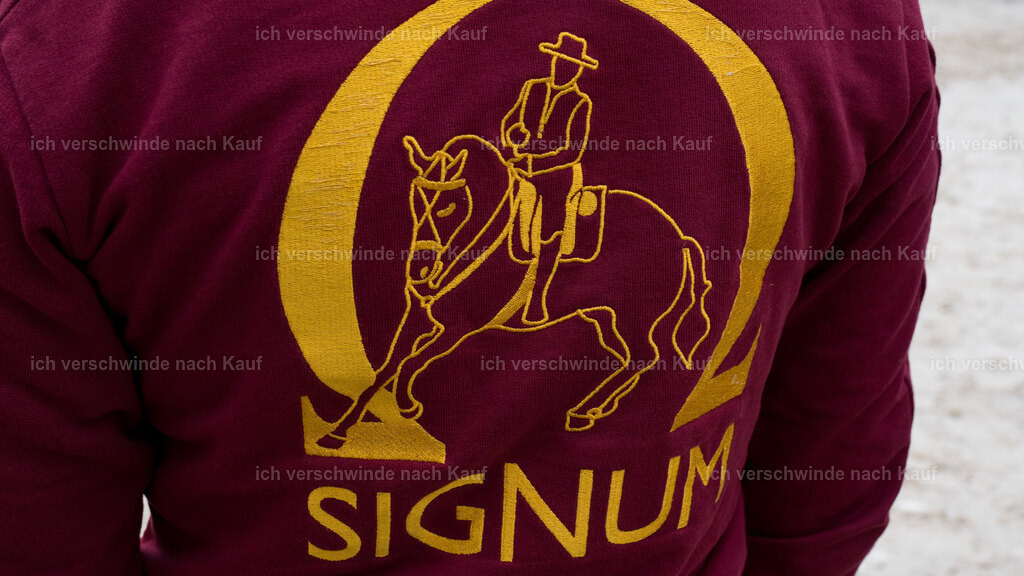 WE_sonntag_Stoib_Siegerehrung_PI2025_3244 | Pferd International München 2025