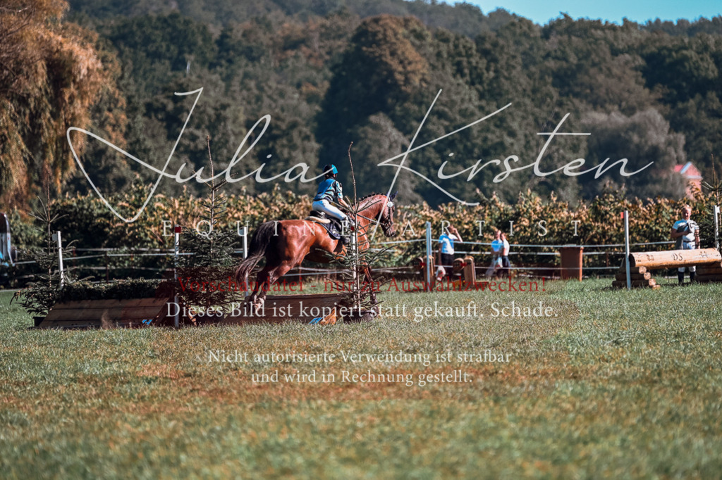 DSC_0820 | Pferde- und Turnierfotografie in Westsachsen. Pferdeportraits, Auftragszeichnungen und intuitive Kunst.
