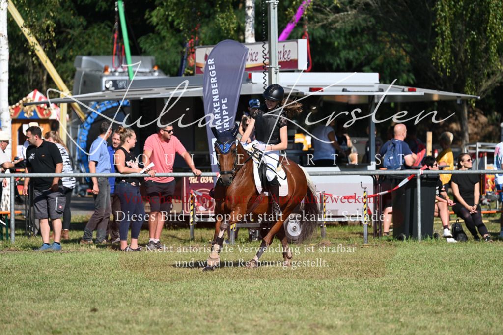 DSC_5354 | Pferde- und Turnierfotografie in Westsachsen. Pferdeportraits, Auftragszeichnungen und intuitive Kunst.