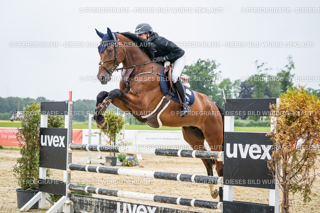 DSC02821 | Pferdegrafie