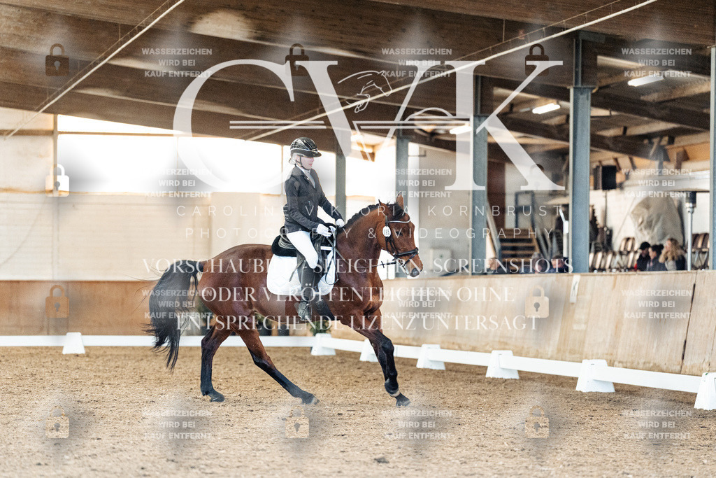 CK908739 | Turnierfotografie Pferdefotografie Trier Rheinland-Pfalz Pferdesport Reitsport Tierfotografie Sportfotografie Pferdevideo Pferdevideografie Equestrianvideography equestrianphotography  - Realisiert mit Pictrs.com
