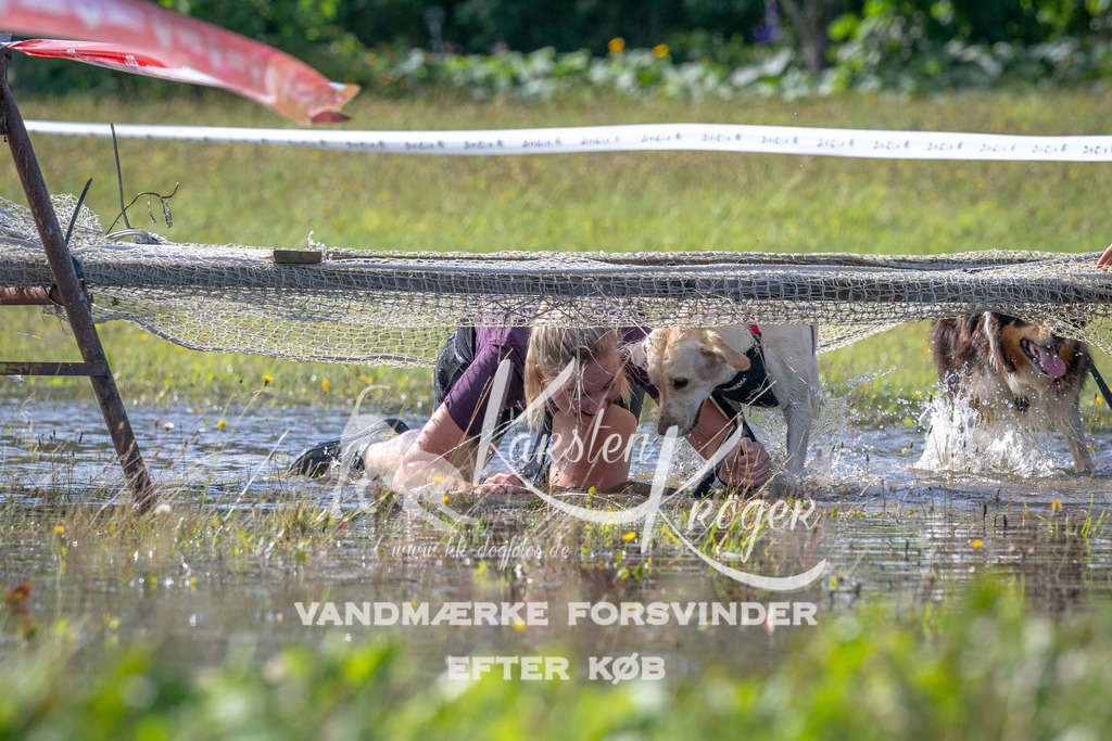 1137_ZZ90685 | kk-dogfotos