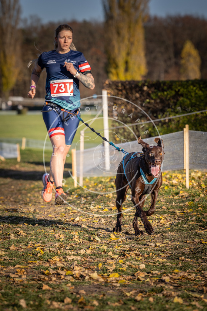 CaniXpix_DV3A2067 | Hundefotografie, Tierfotograf, Pfotenfotografie, Fotoshooting Hund, Hunde Portrait, Hundesport, Hundeportraits, Heideshooting, Hunde, Sportfotograf, Hundefotograf, Turnierhundsport, THS,  - Realisiert mit Pictrs.com