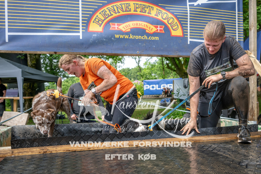 1036_ZZ91468 | kk-dogfotos