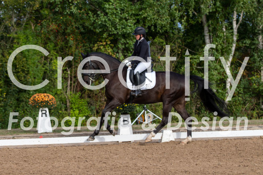 IMG_6016 | Creatify Fotografie