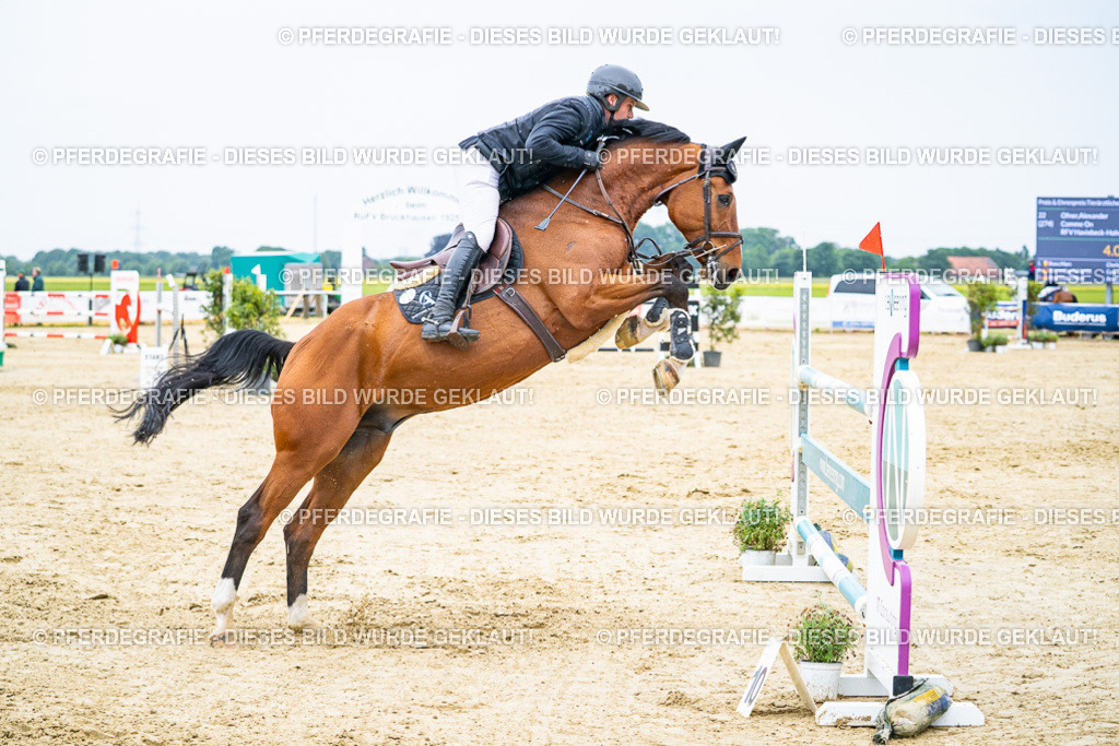 DSC07259 | Pferdegrafie