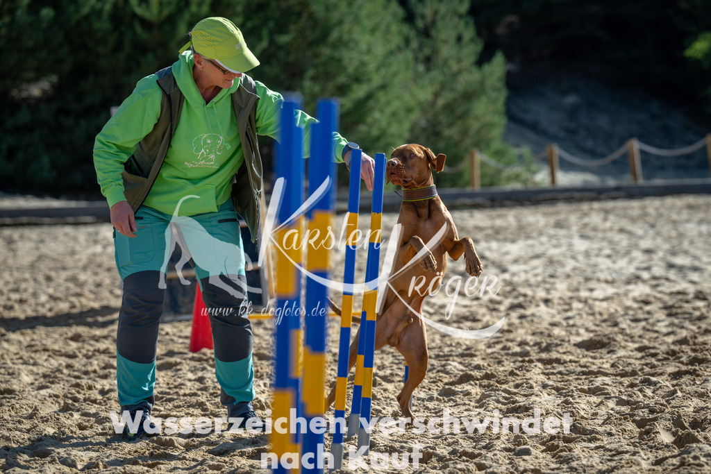 1152_ZZ92265-2 | kk-dogfotos