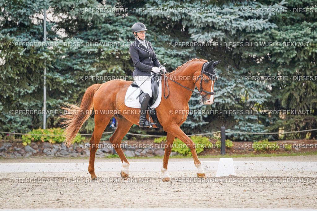 DSC00217 | Pferdegrafie